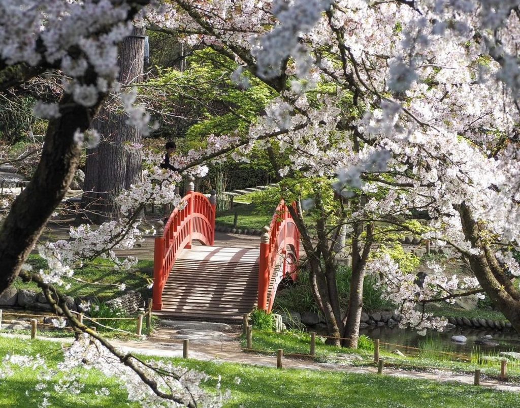 Giardini Albert Kahn- A Parigi in foto