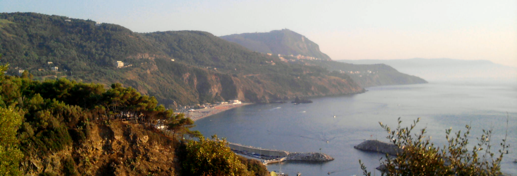 Palmi sulla costa viola