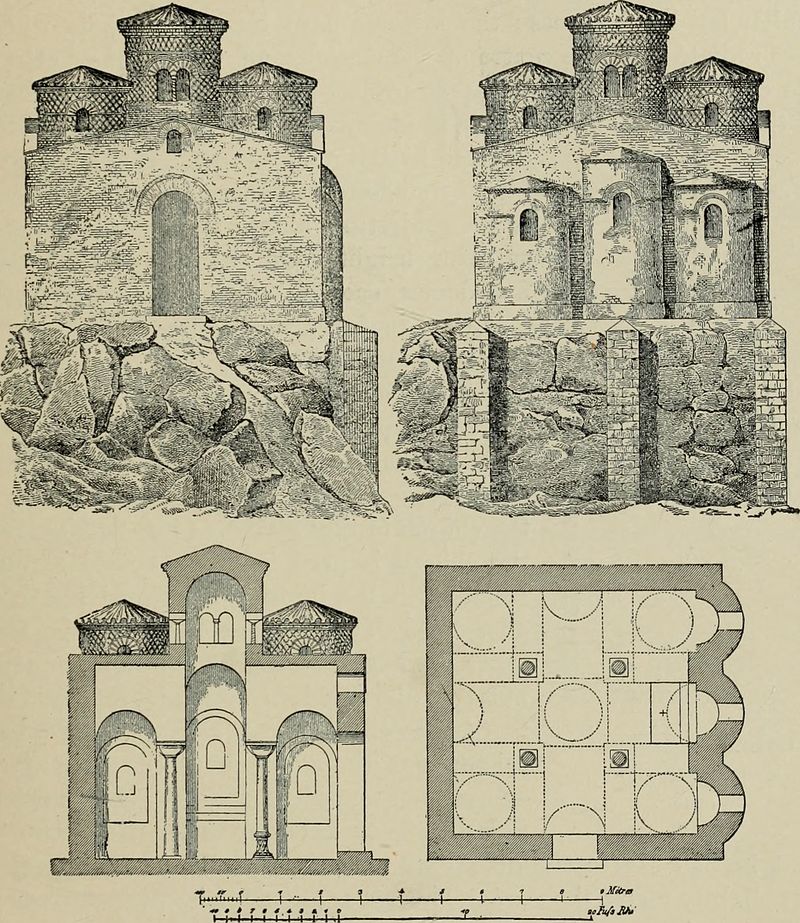 Pianta Della Cattolica