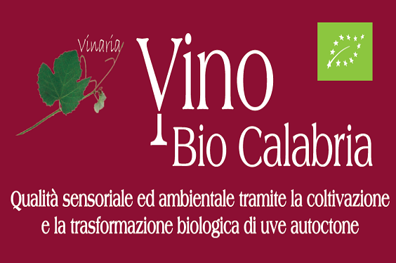 Vino Bio Aiab Calabria