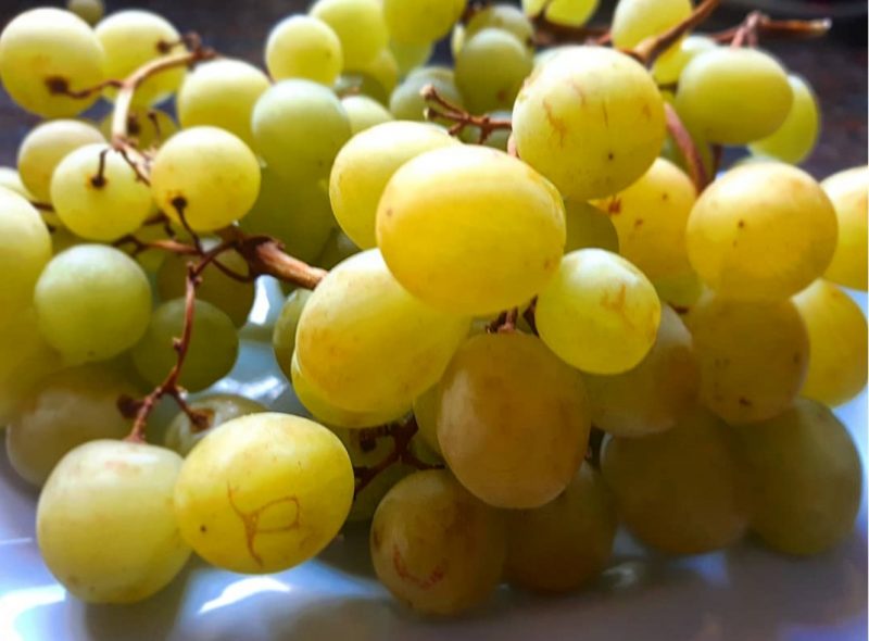 Uvas fruto de la abundancia