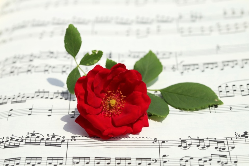 San Valentín - Rosa Musica