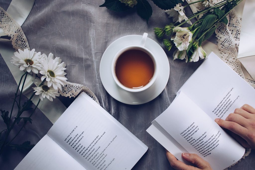 El Festival Internacional de Poesía - Lectura