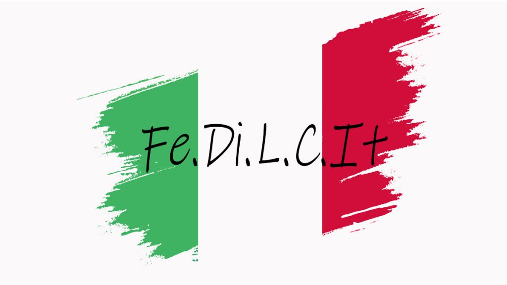 Fedilcit - Portada