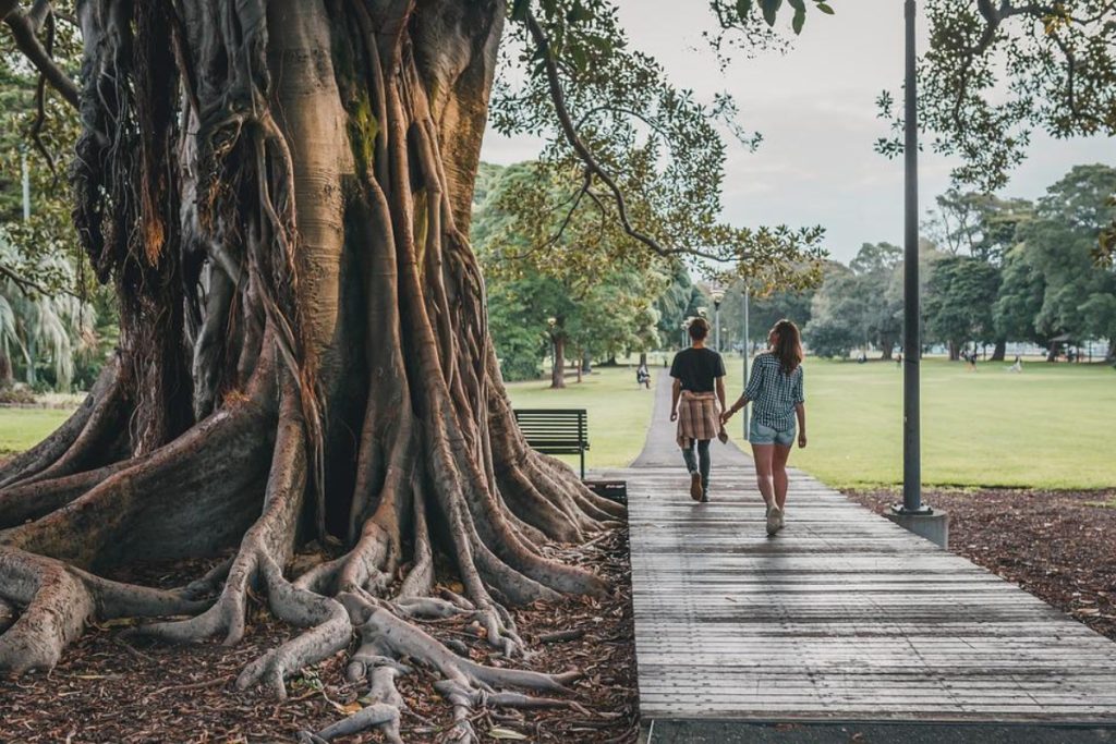 Día Mundial del Medio Ambiente - Naturaleza Y Gente