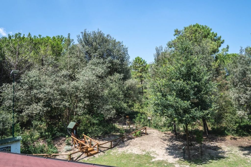 Una vista del parco delle Dune fossili di Donada