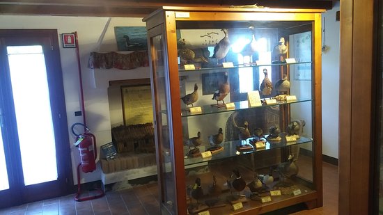 La sezione naturalistica del Museo della corte