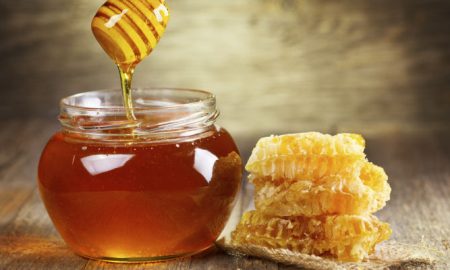 Il miele, omaggiato presso Museo delle api