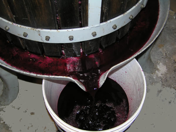 La cultura del vino