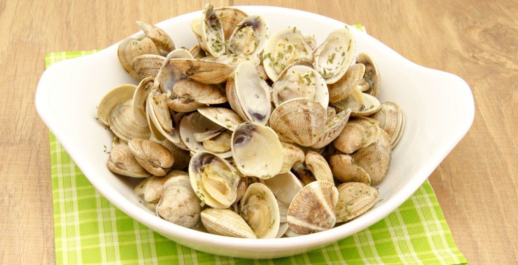 Bibarasse In Cassopipa