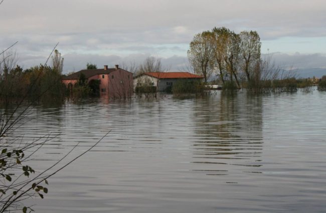Toponimo polesine