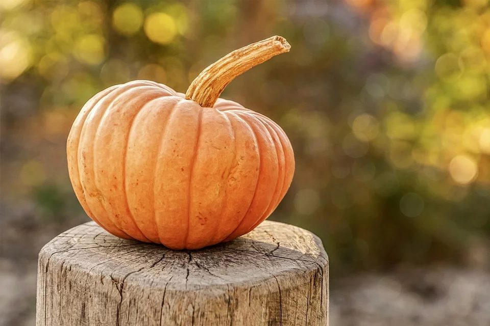 Pumpkin 4454745 960 720 (2)