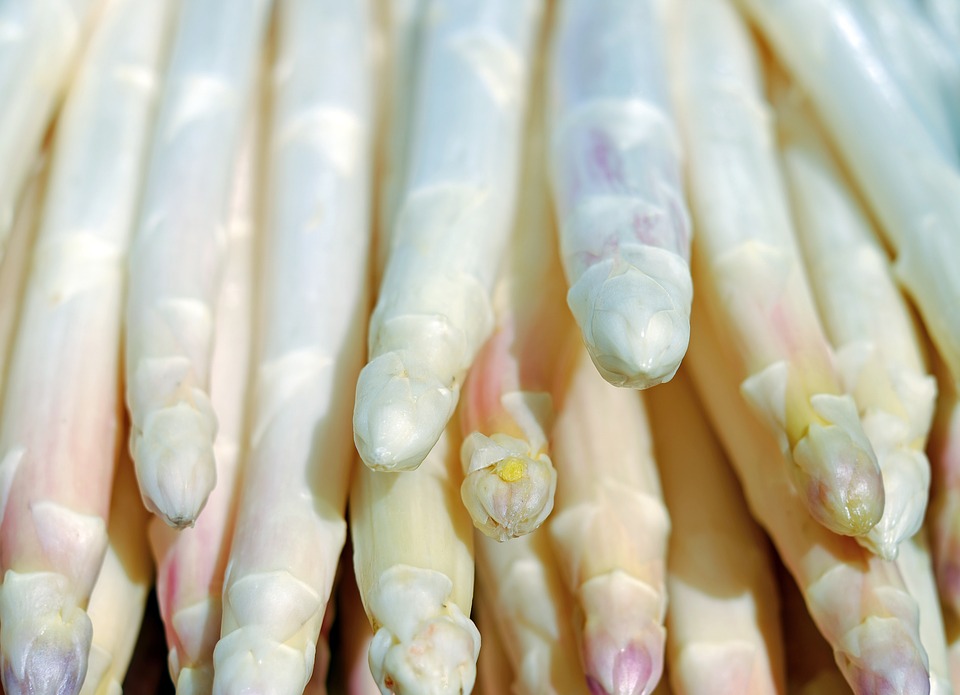 Asparagus 2329467 960 720