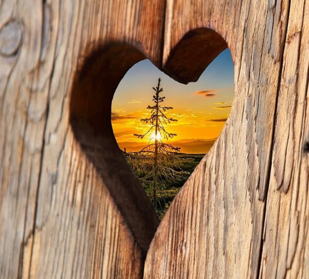 Cuore