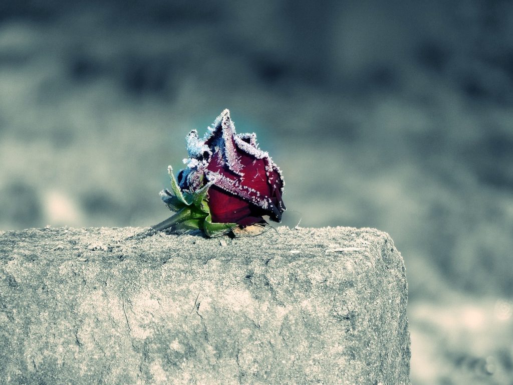 Giornata Della Memoria