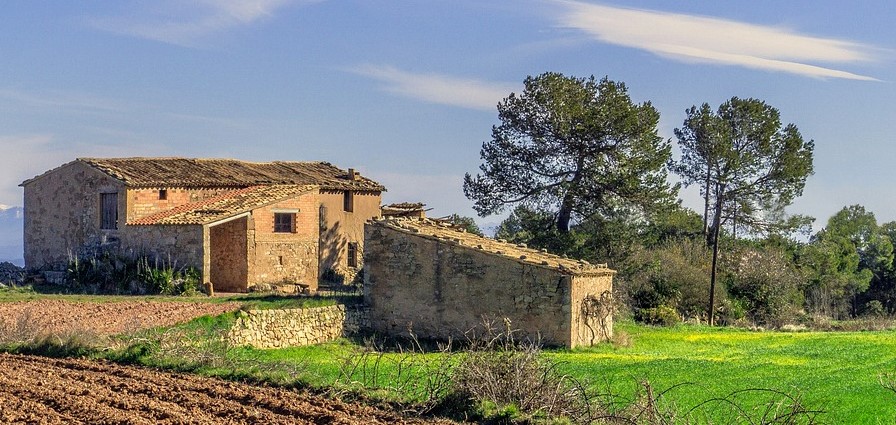 Fattoria come Arnaldo