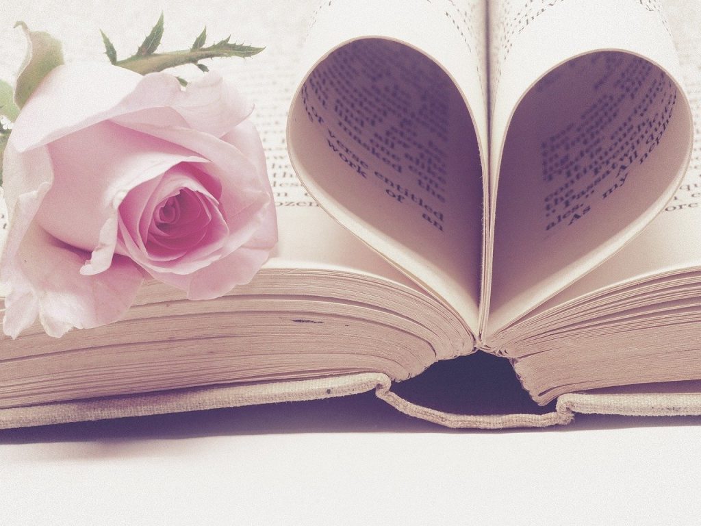 Libro14