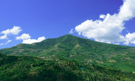 Monti del Cilento – Monte Stella (foto tratta da wikipedia)