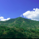 Monti del Cilento – Monte Stella (foto tratta da wikipedia)