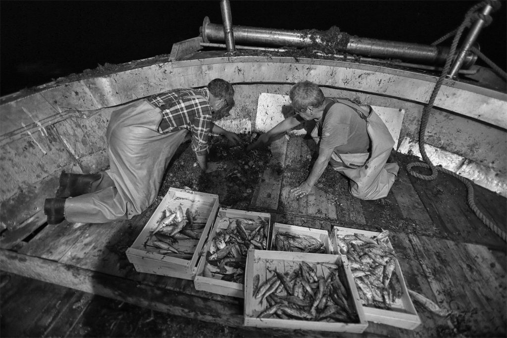 Il Brodetto alla Sambenedettese - Due Pescatori Selezionano Il Pescato tra le reti