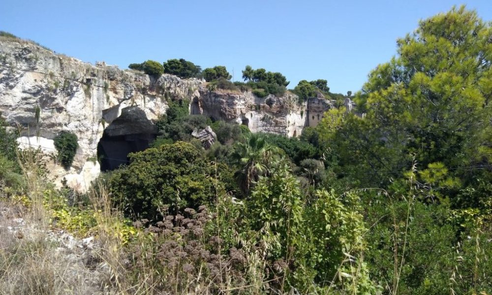 Vegetazione Parco Archeologico Della Neapolis