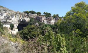 Vegetazione Parco Archeologico Della Neapolis
