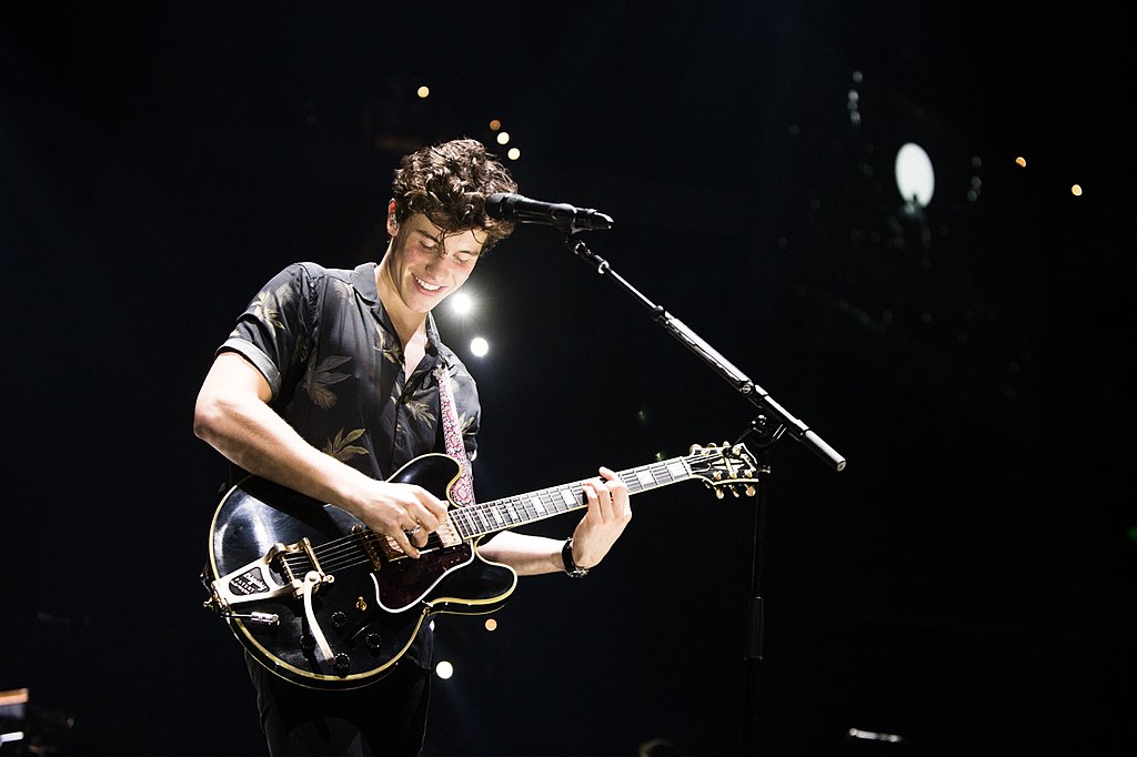 Shawn Mendes during a performance in  2017