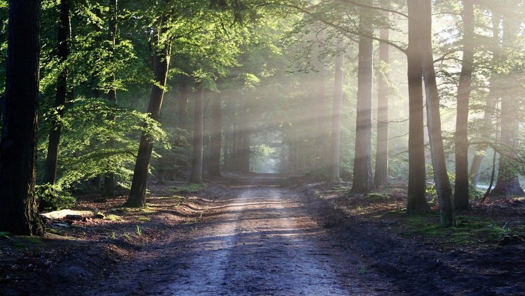 The Road