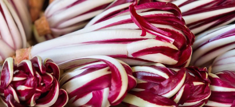 Radicchio Trevigiano Home 810x370