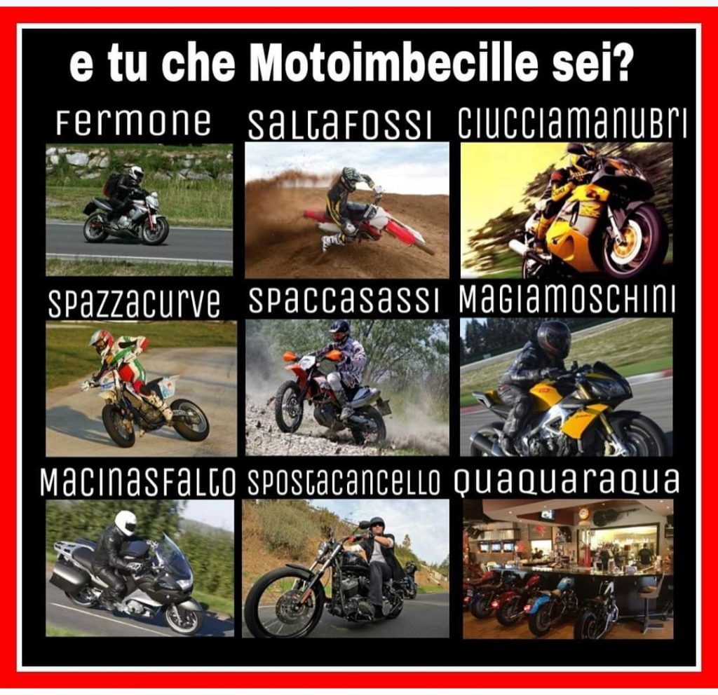Motoimbecille