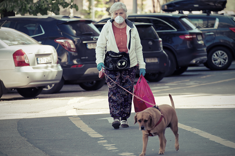 Covid 19 Abbandono Animali Cani Passeggio