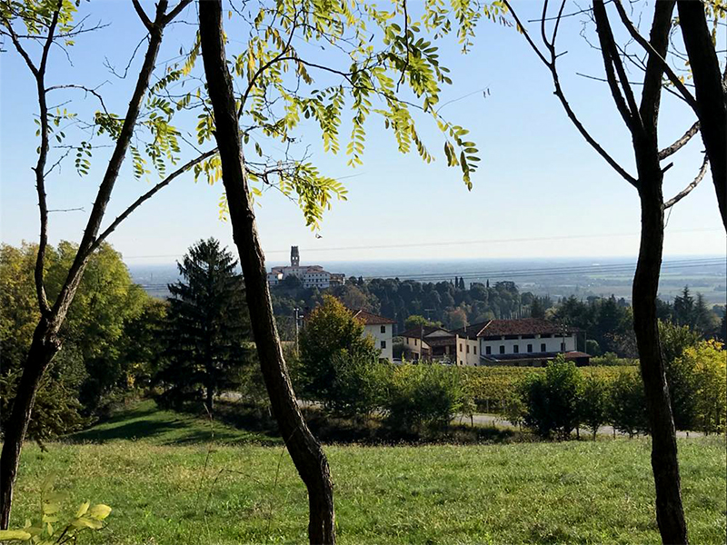 Passeggiare Collalto