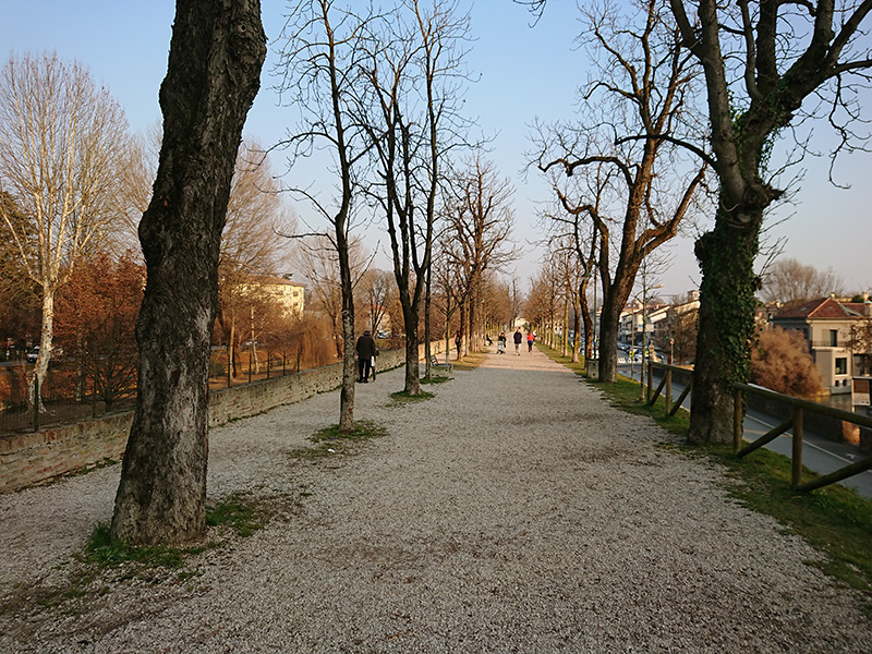 Itinerario Treviso Mura