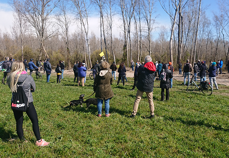 Flash Mob Piave Ascolto
