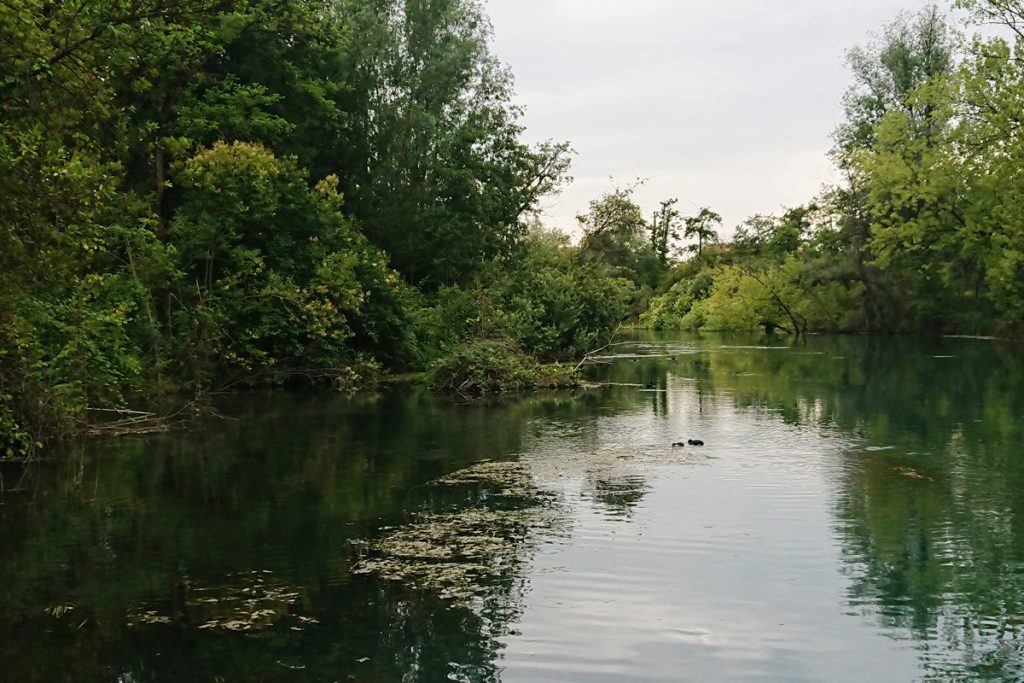 Operazione Sile Fiume