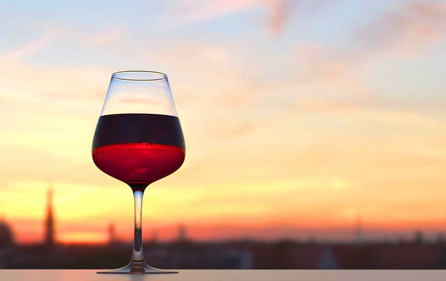 vigne venezia vino