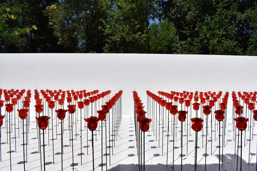 biennale 2019 ai giardini