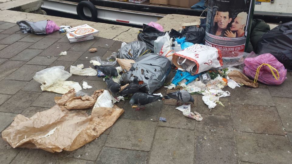 rispettare Venezia