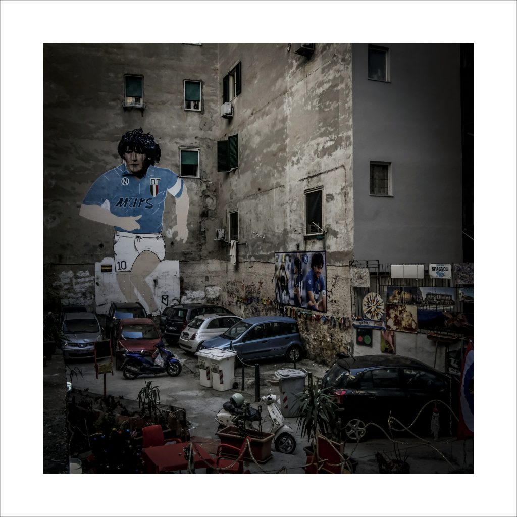 Mostra Foto Arici