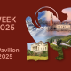 Veneto Expo 2025