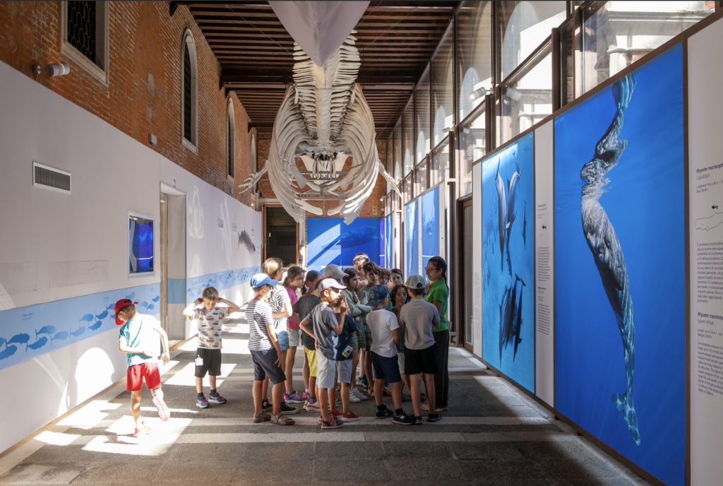 Museo Di Storia Naturale