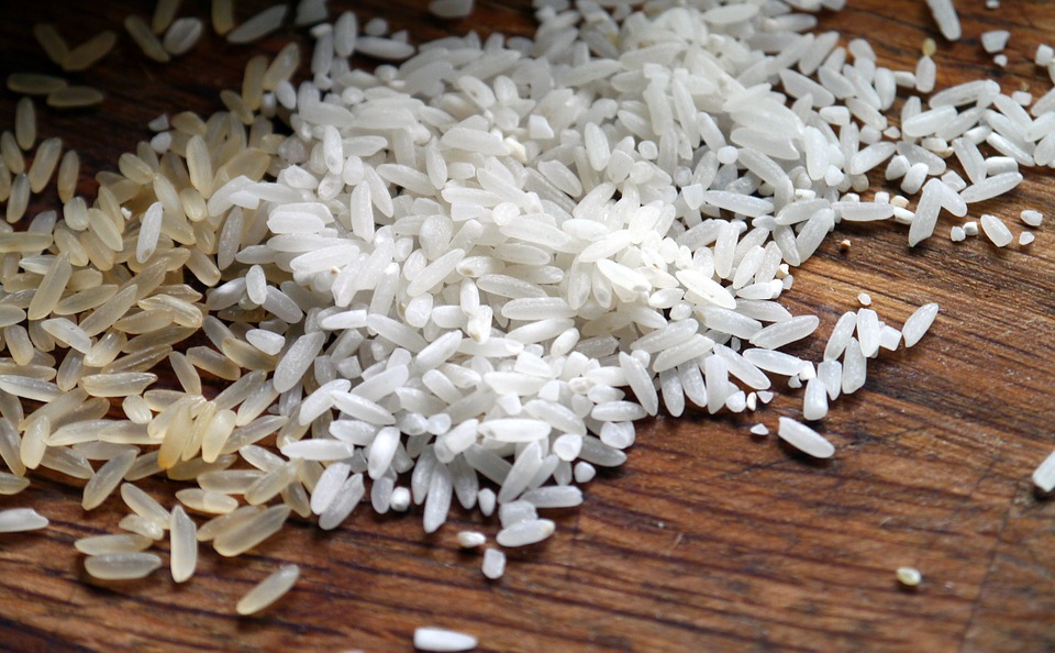 Il riso: l'oro bianco del Vercellese