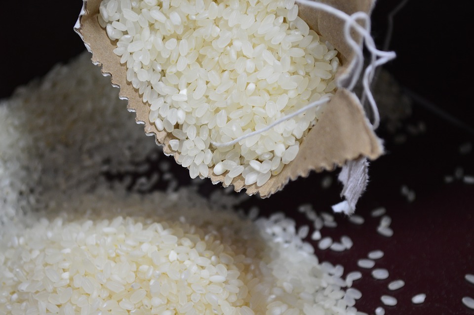 Sono più di 100 le varietà di riso esistenti