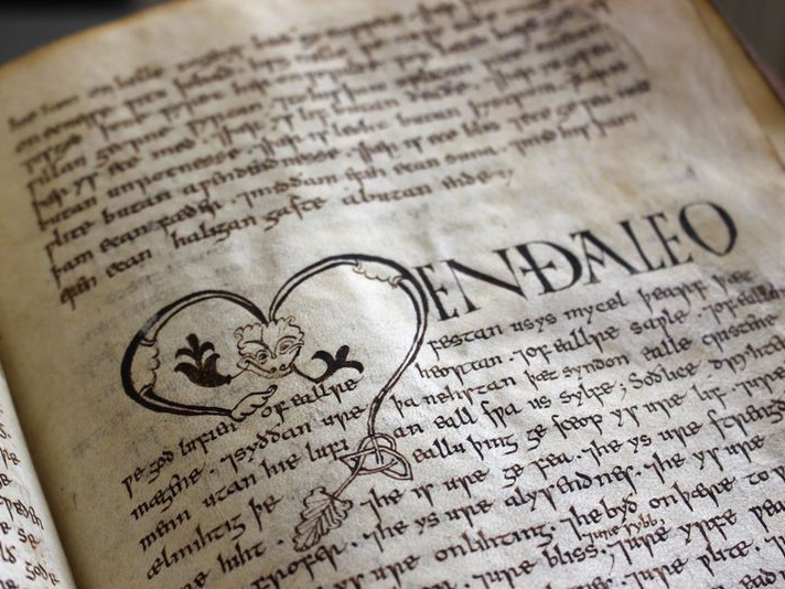 Vercelli Book a Dal sapere al sapore