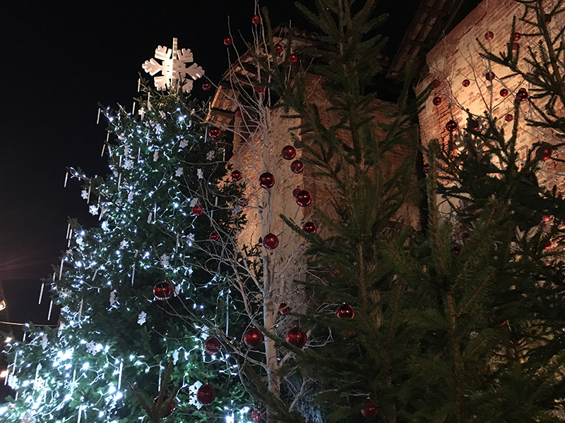 l'albero di Natale addobbato nel centro del borgo piemontese