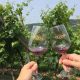 Cantine Aperte - l'evento dedicato al vino veronese
