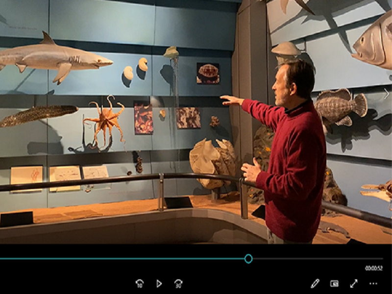 Museo Scienze Naturali Tour Virtuali