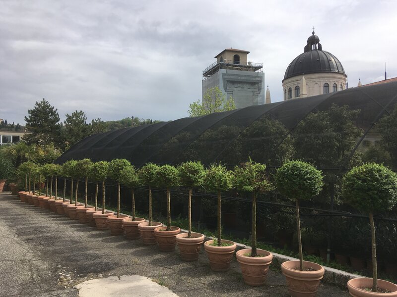 Serre Comunali