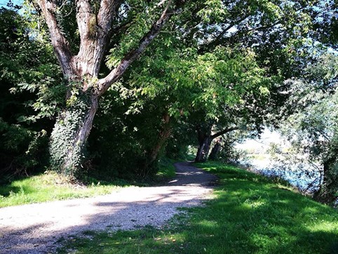 alzaia adige navigatori in primavera alzaia adige navigatori