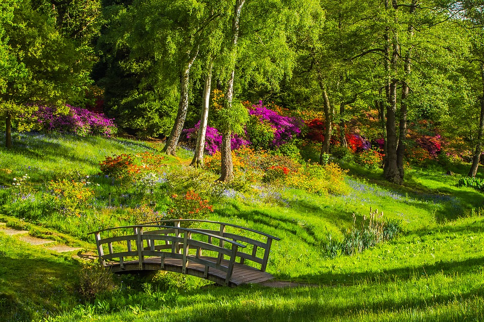 Il parco della Pace - Parco Con Passerella ideale